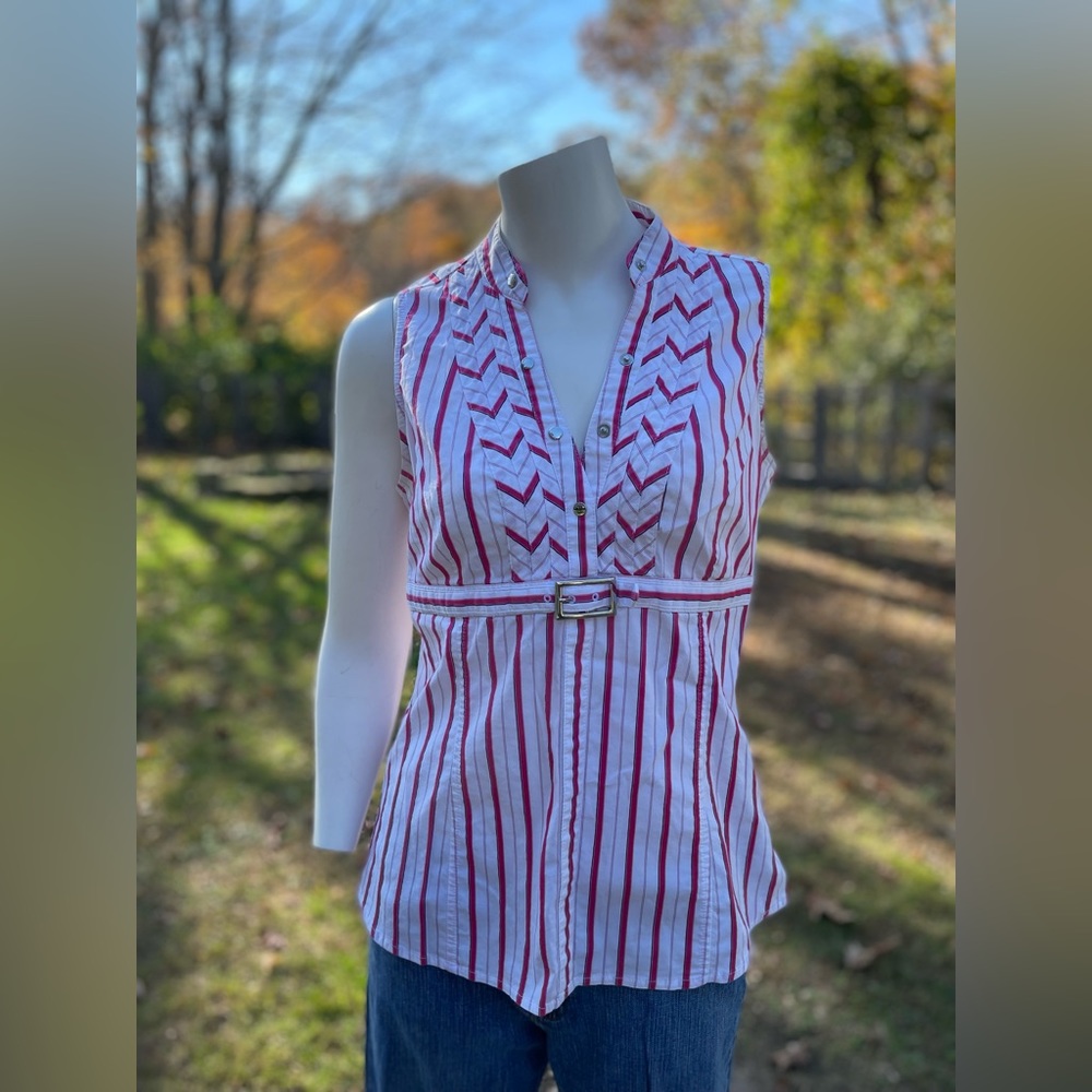Express pinstripe magenta color stripes top. Size medium